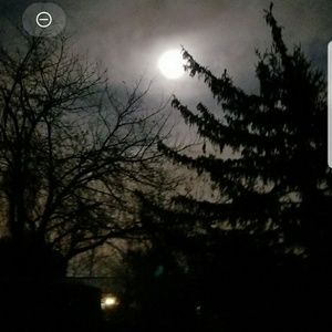 Meet your Posher, Janet